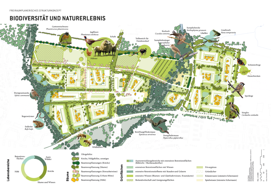 Ein Plan der Neuen Gartenstadt Öjendorf, in dem  Biodiversität und Naturerlebnis des Gebietes erläutert werden. Es ist zu sehen, wo Gehölze stehen und wo sich welche Grünflächen befinden.